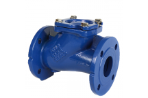 65mm ART172 Ductile Iron Ball Check Valve BSPP FxF PN16 Flanged Ends