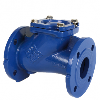 100mm ART172 Ductile Iron Ball Check Valve BSPP FxF PN16 Flanged Ends