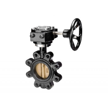 100mm F625 Ductile Iron Fully-Lugged Gear Operated Butterfly Valve EPDM PN16